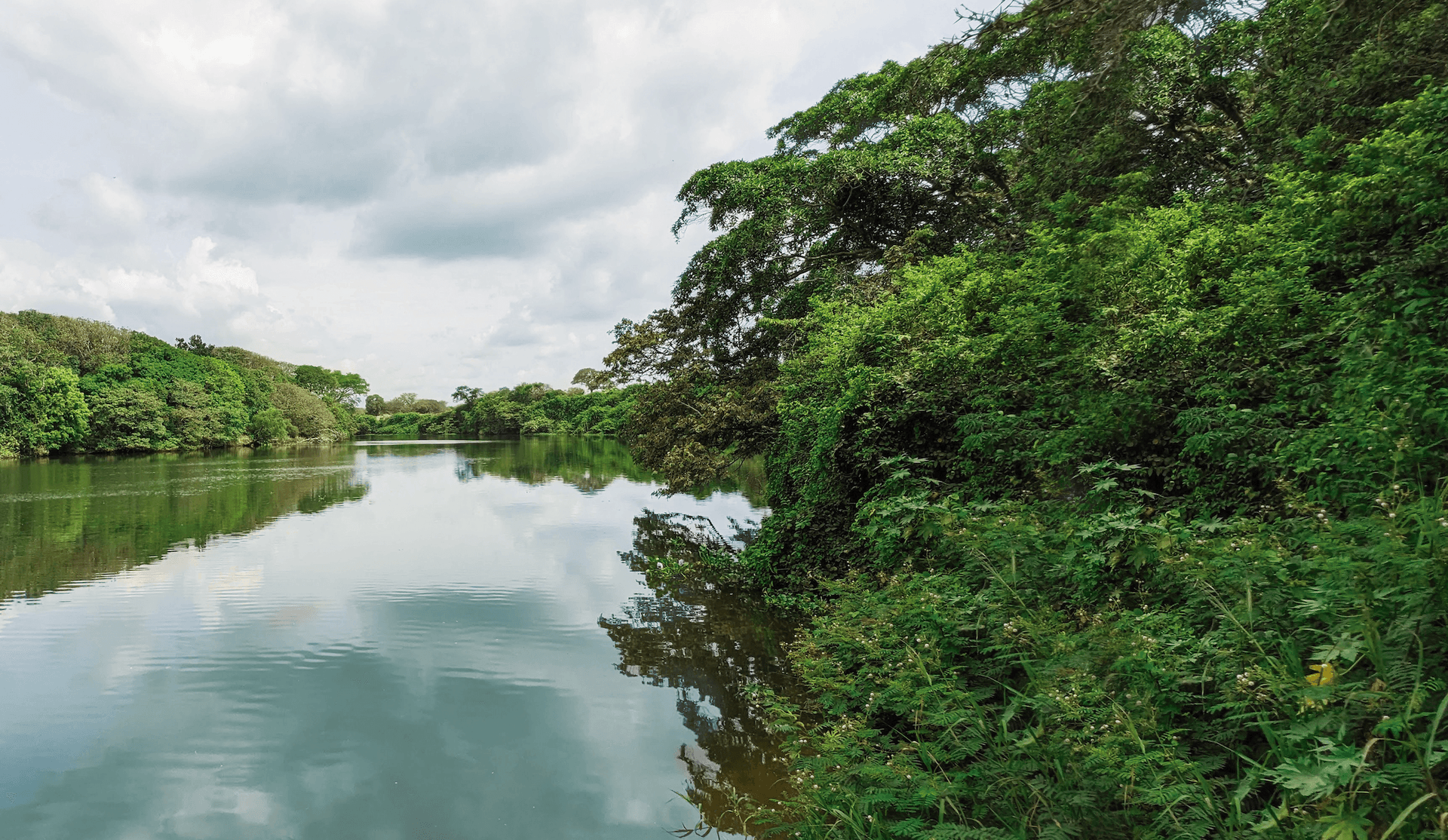Río Jamapa